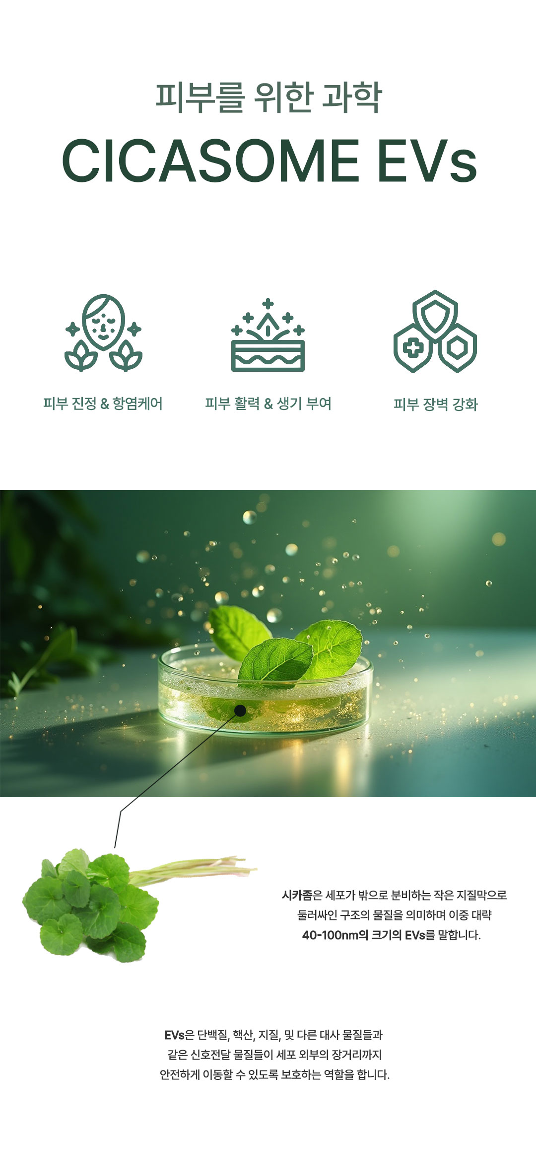 a07909700bb458afac12f732061265dd_1765950757_0999.jpg a07909700bb458afac12f732061265dd_1765950757_0999.jpg