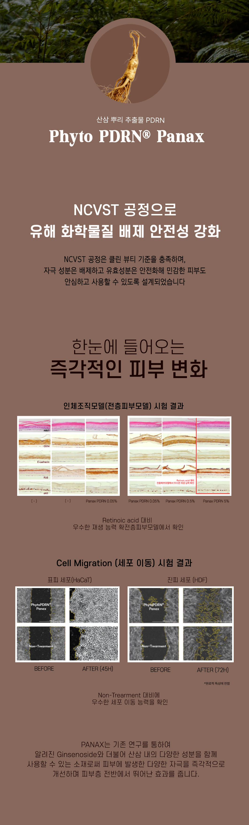 a07909700bb458afac12f732061265dd_1765951498_8397.jpg a07909700bb458afac12f732061265dd_1765951498_8397.jpg