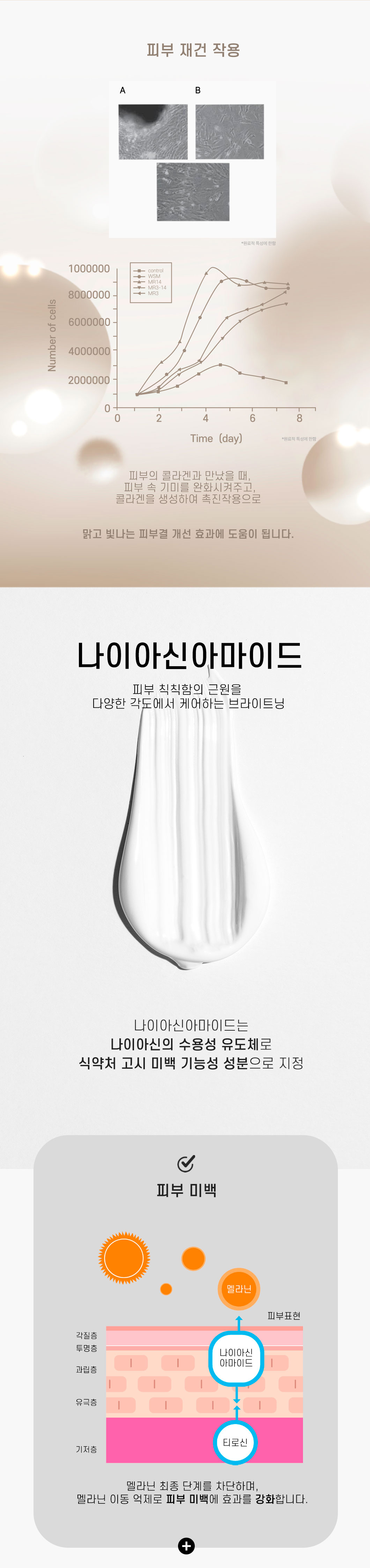 a07909700bb458afac12f732061265dd_1765951510_2533.jpg a07909700bb458afac12f732061265dd_1765951510_2533.jpg