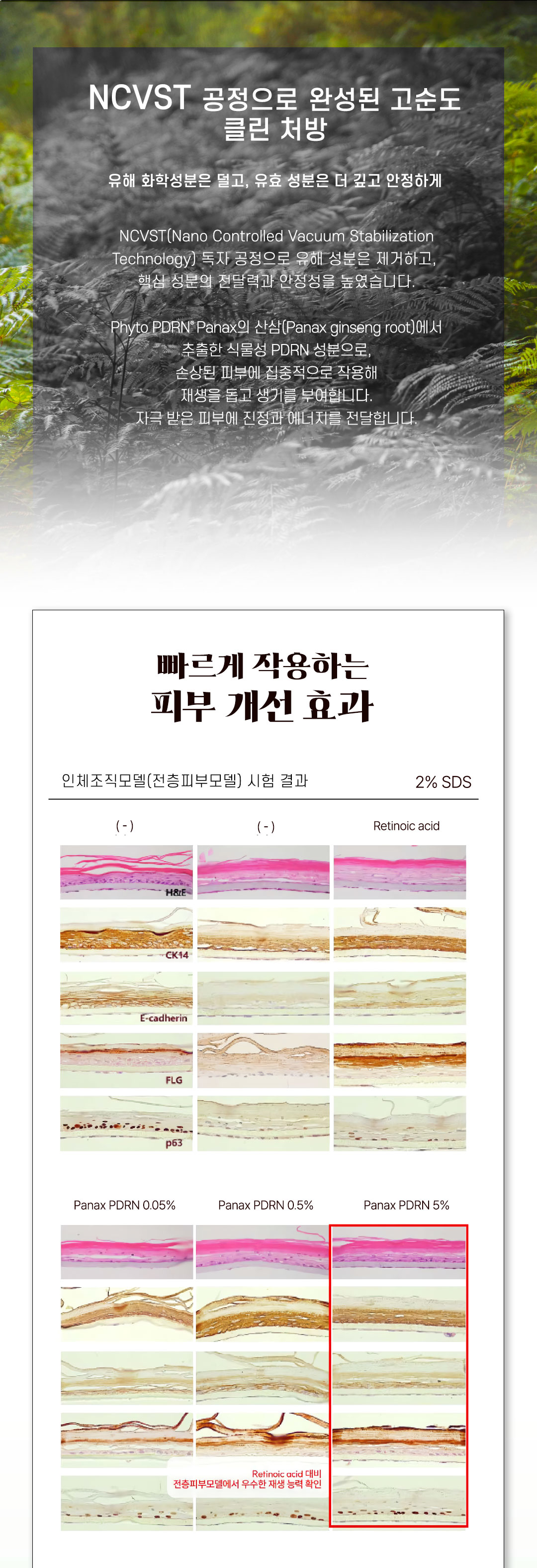 a07909700bb458afac12f732061265dd_1765952317_7657.jpg a07909700bb458afac12f732061265dd_1765952317_7657.jpg