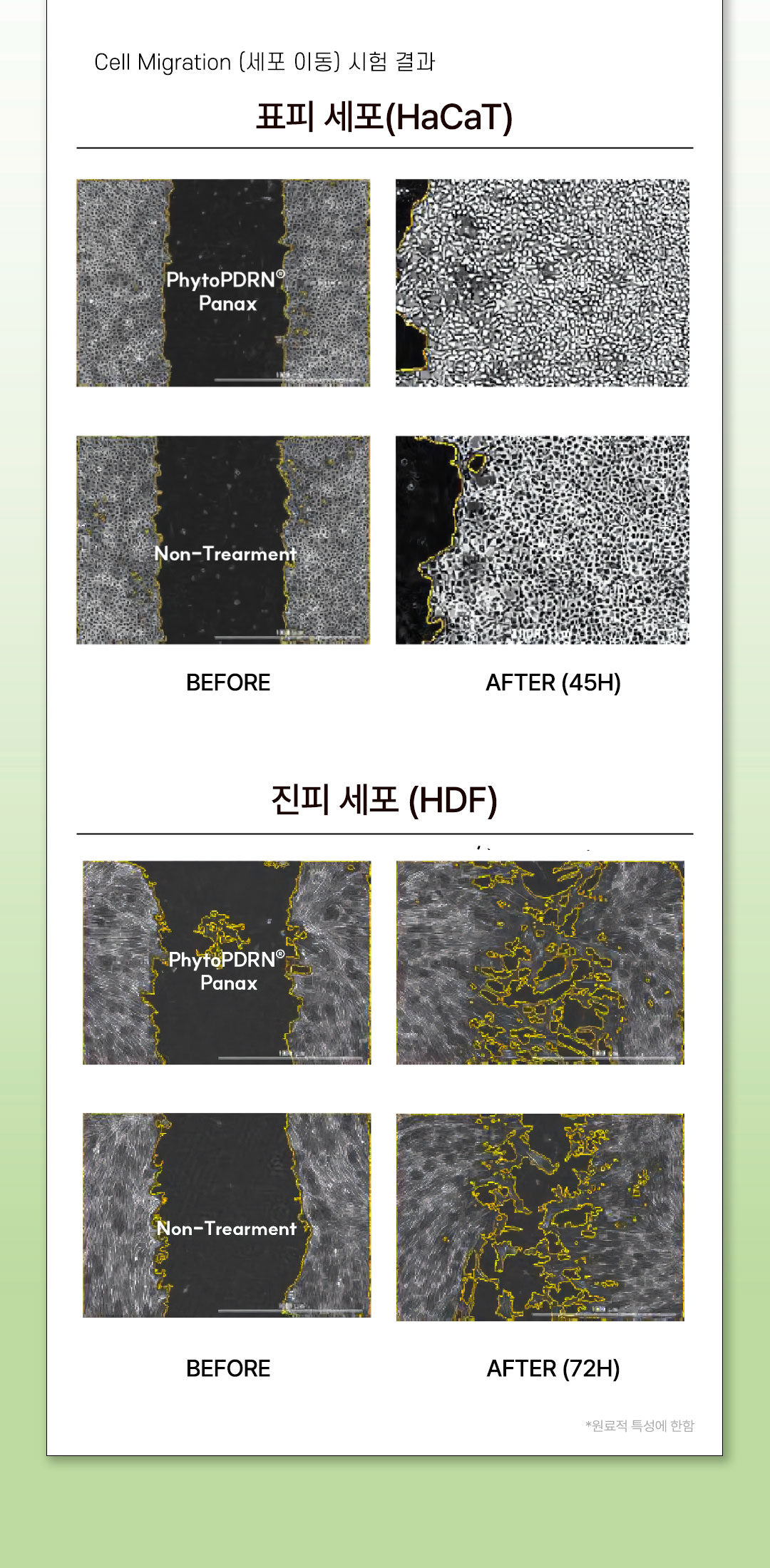 a07909700bb458afac12f732061265dd_1765952317_8283.jpg a07909700bb458afac12f732061265dd_1765952317_8283.jpg