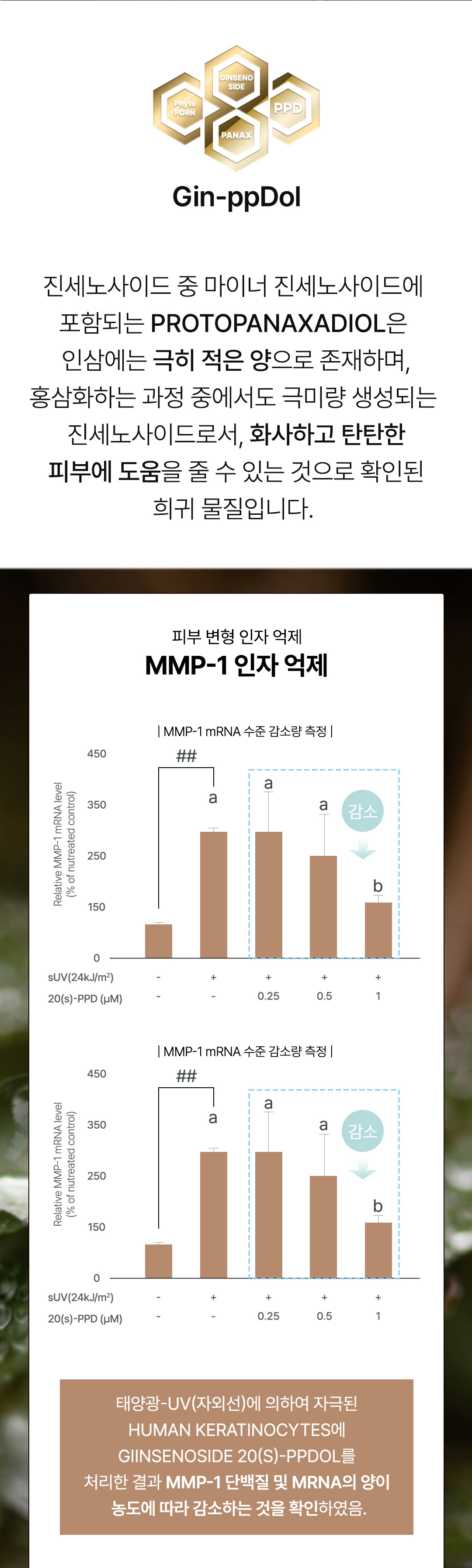a07909700bb458afac12f732061265dd_1765954347_3397.jpg a07909700bb458afac12f732061265dd_1765954347_3397.jpg