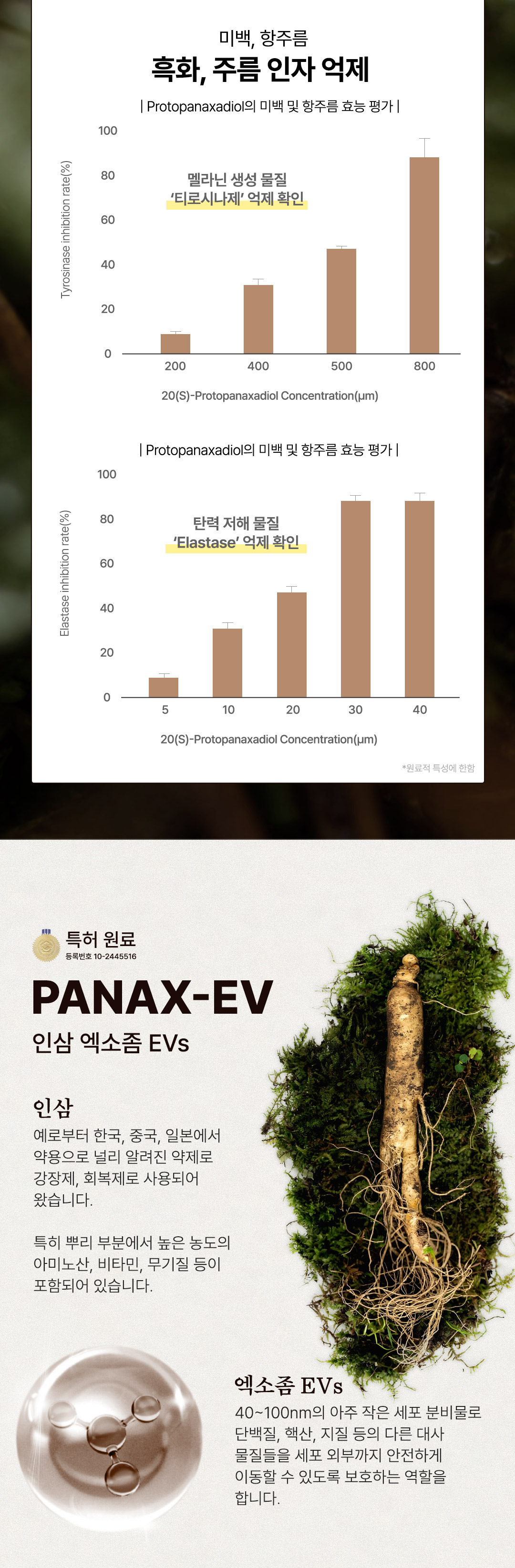 a07909700bb458afac12f732061265dd_1765954347_4023.jpg a07909700bb458afac12f732061265dd_1765954347_4023.jpg